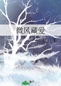 微風藏愛