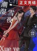 潮濕雪夜